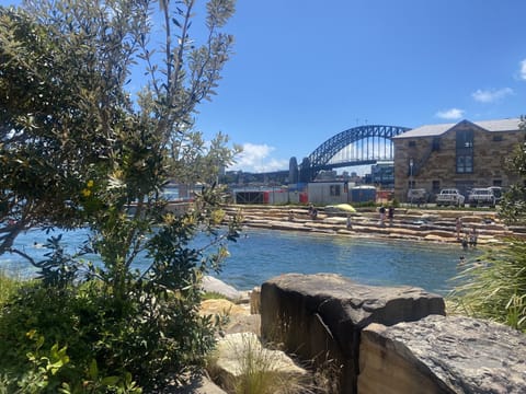 Barangaroo Reserve and Harbour across the street and short stroll. 