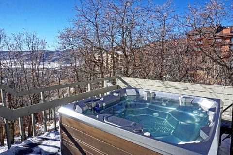 Large private Hot Tub on the side deck