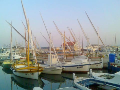 Marina