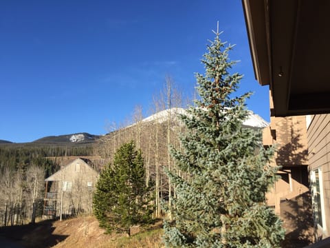 View from deck, Buffalo Mountain