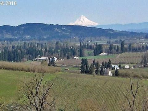 Spectacular views of vineyards, the Willamette Valley and Mt. Hood.