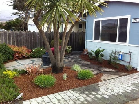 Front of house - front patio and new plants. Front Yard view towards ocean