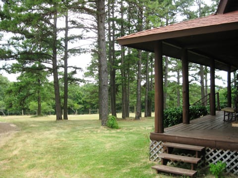 View of the front yard of the cabin
