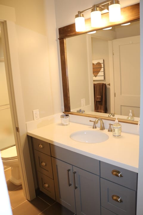 Master bath: new cabinets, lighting, sink, toilet and linens