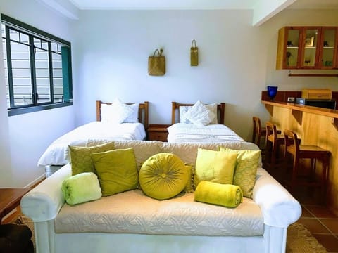 Lower level; Bedroom and couch area