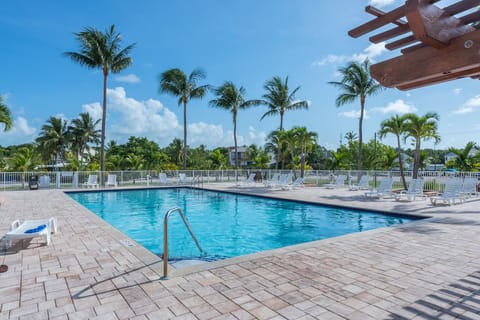 A heated pool, a lap pool