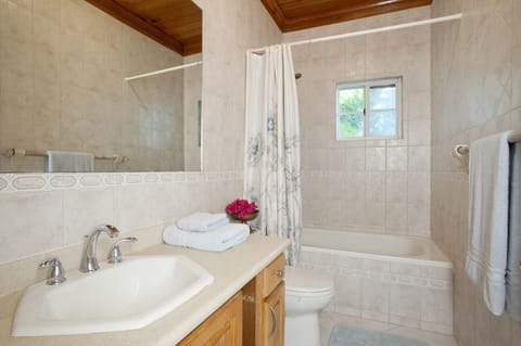 Combined shower/tub, jetted tub, hair dryer
