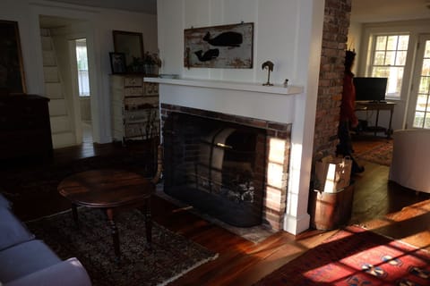 Living room fireplace!