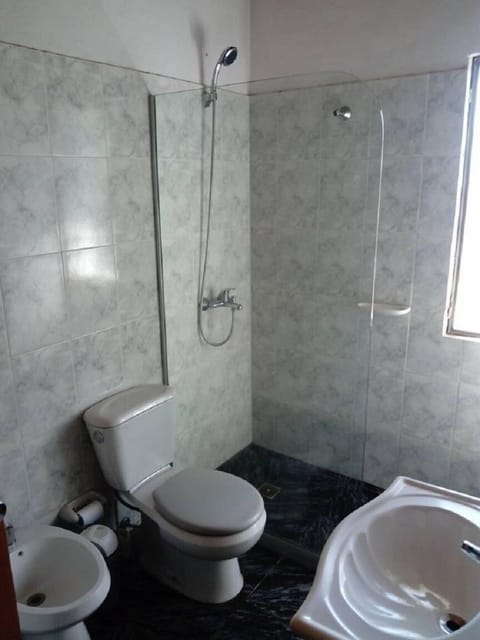 Combined shower/tub, hair dryer, bidet