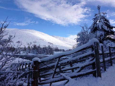 Local view of Braemar in winter