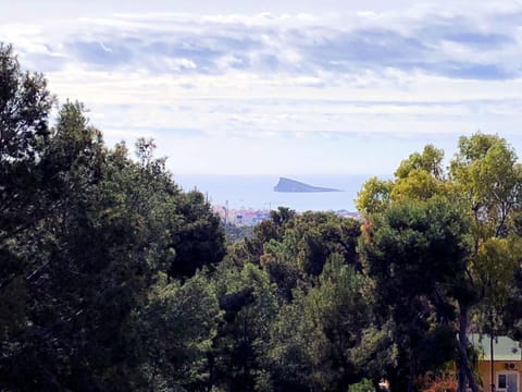 VIEWS FROM THE TERRACE