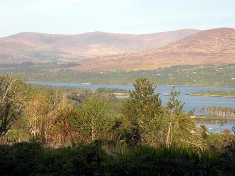 Guest's photo of evening view from patio