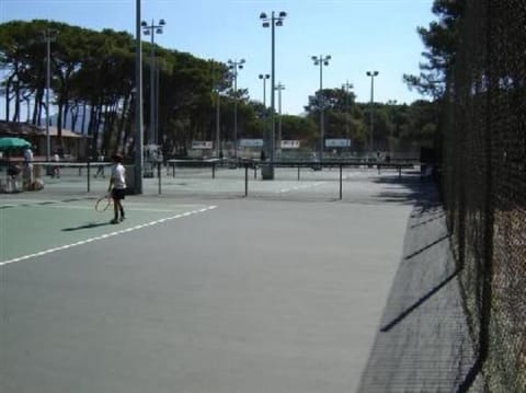 Sport court