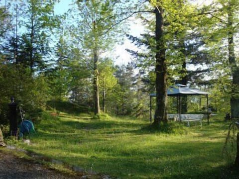 barbecue with gazebo