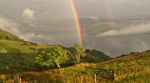 Early evening treasure...