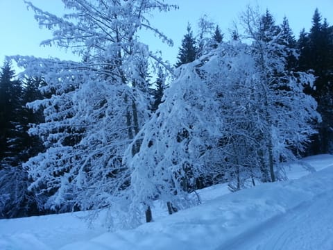 Snow and ski sports