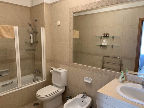 Combined shower/tub, hair dryer, bidet, towels