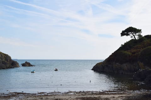 Beach nearby, sun loungers