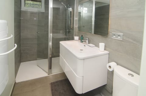 Combined shower/tub, hair dryer, bidet, toilet paper