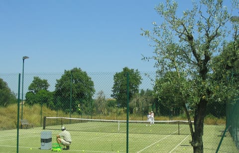 Sport court