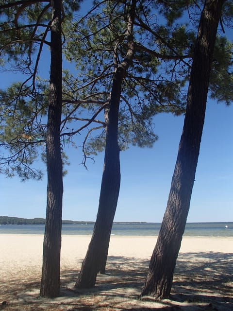 On the beach