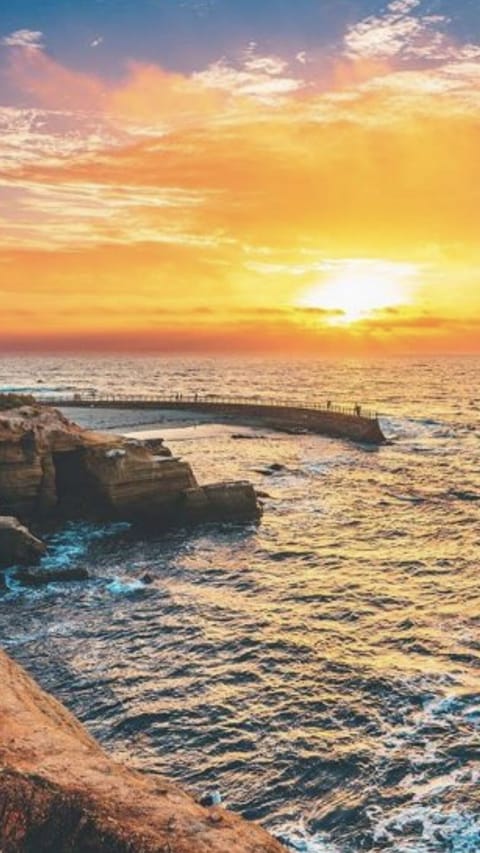 This is your view from the living room couch!