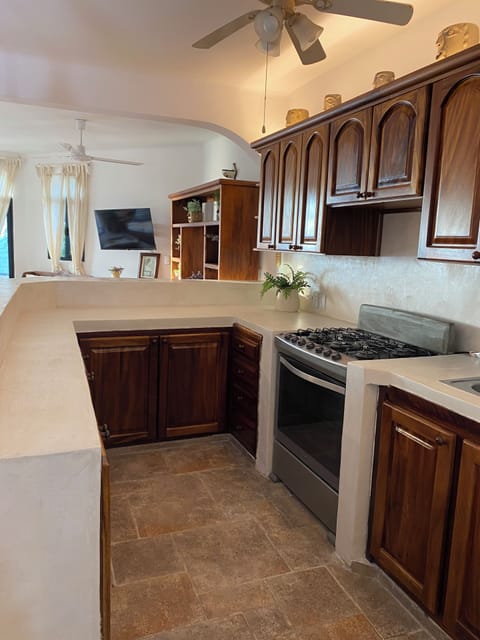 kitchen bar, stove and worktops