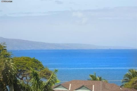 Beach/ocean view