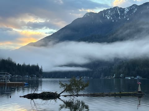 Looking west from dock.