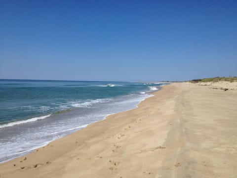 On the beach, sun loungers, beach towels