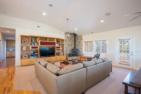 TV, fireplace, books