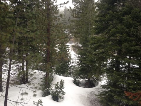 backyard view from deck