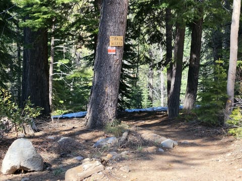 Trailhead for the 1.5 mile Nature Valley Loop trail is about 150 yards away