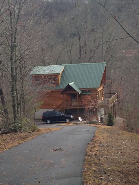 Picture from Gadwall Terr