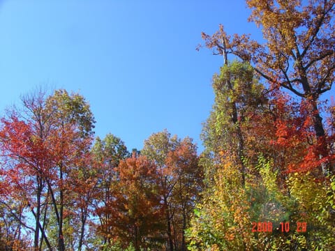 Start of Fall foliage at cabin