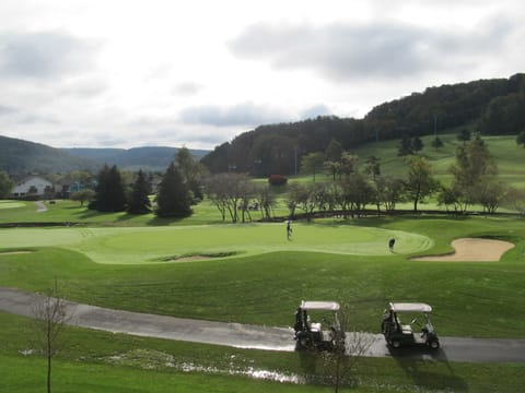 View overlooking par 3 9th hole from condo balcony