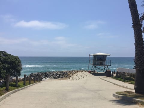 On the beach, sun loungers, beach towels