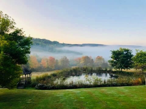 A Look at the backyard from the porch!