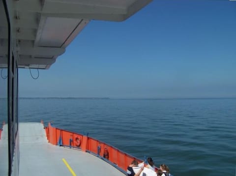 Take One of the Fast & Friendly Ferries to Visit the Local Islands and Wineries