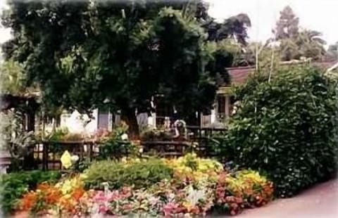 The Enchanted Cottage: situated in the Heart of Old Del Mar -