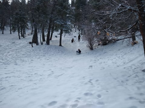 Enjoy free sledding at the Peach with this sledding area a few steps away.
