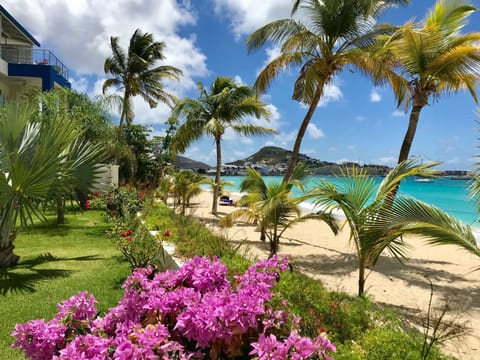 On the beach, sun loungers, beach towels