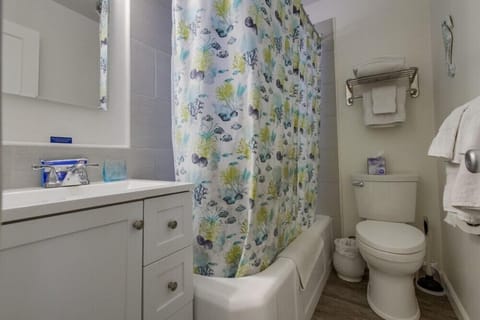 Combined shower/tub, hair dryer, towels