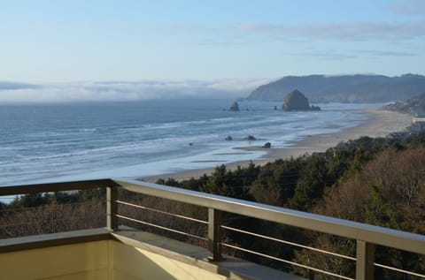 Beach nearby, sun loungers