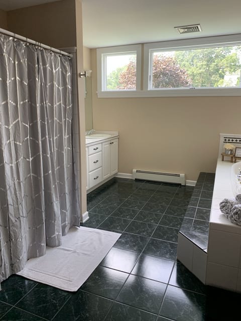 Combined shower/tub, jetted tub, hair dryer, towels