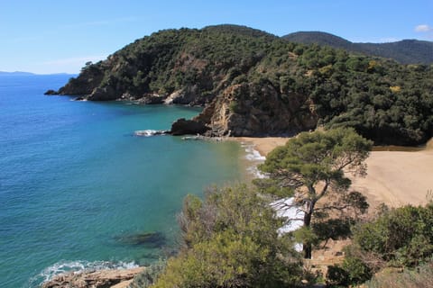 Beach nearby, sun loungers