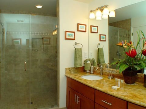 Combined shower/tub, hair dryer, towels