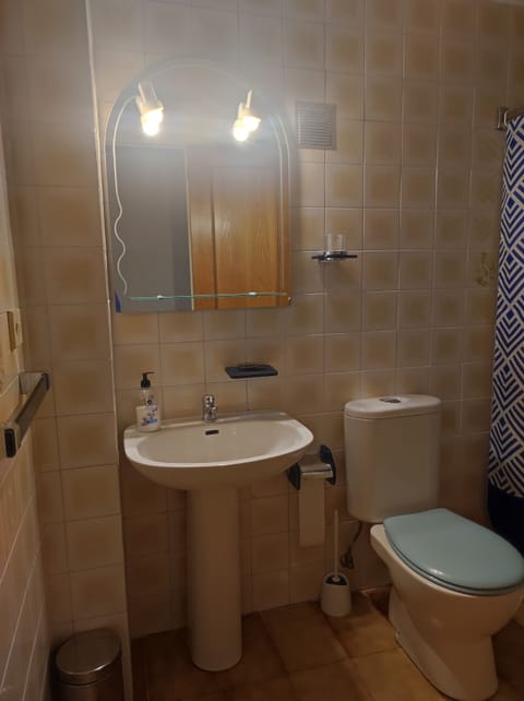 Combined shower/tub, hair dryer, bidet, toilet paper