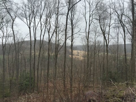 View from the top of property 