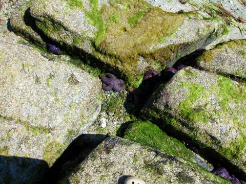 A sculpture for nature-lovers.